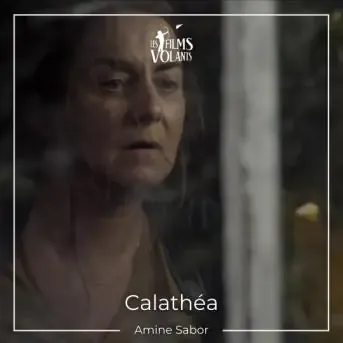 Calathéa
